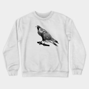 Falcon Crewneck Sweatshirt